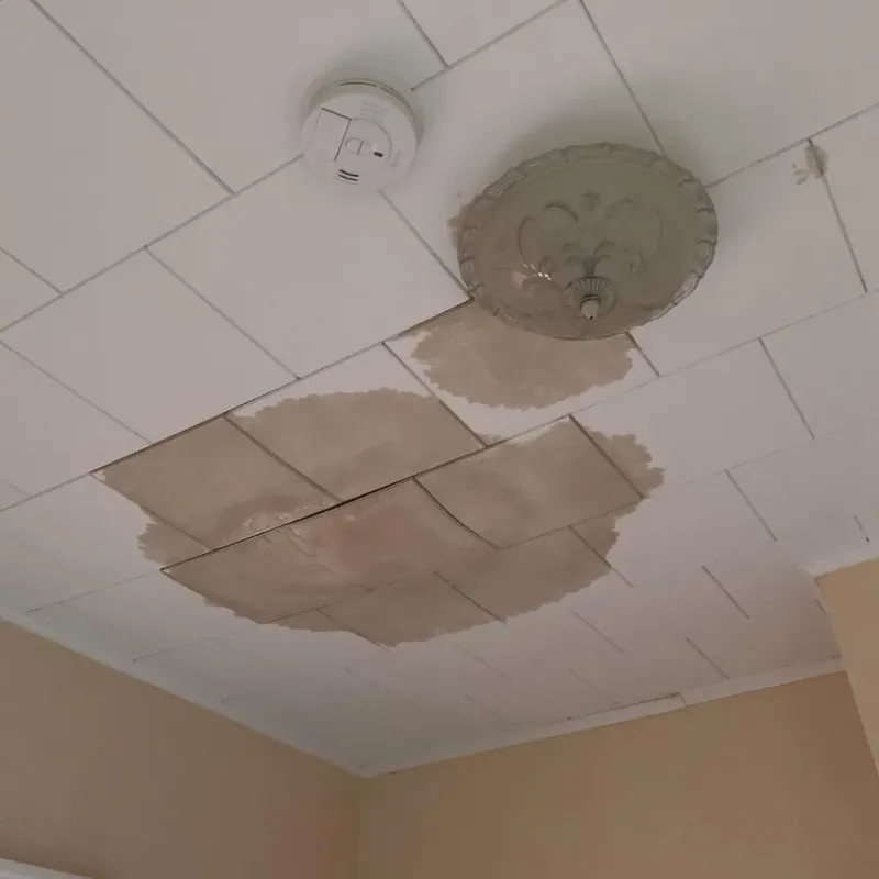 Ceiling Water Damage Repair in Brownsville, NY